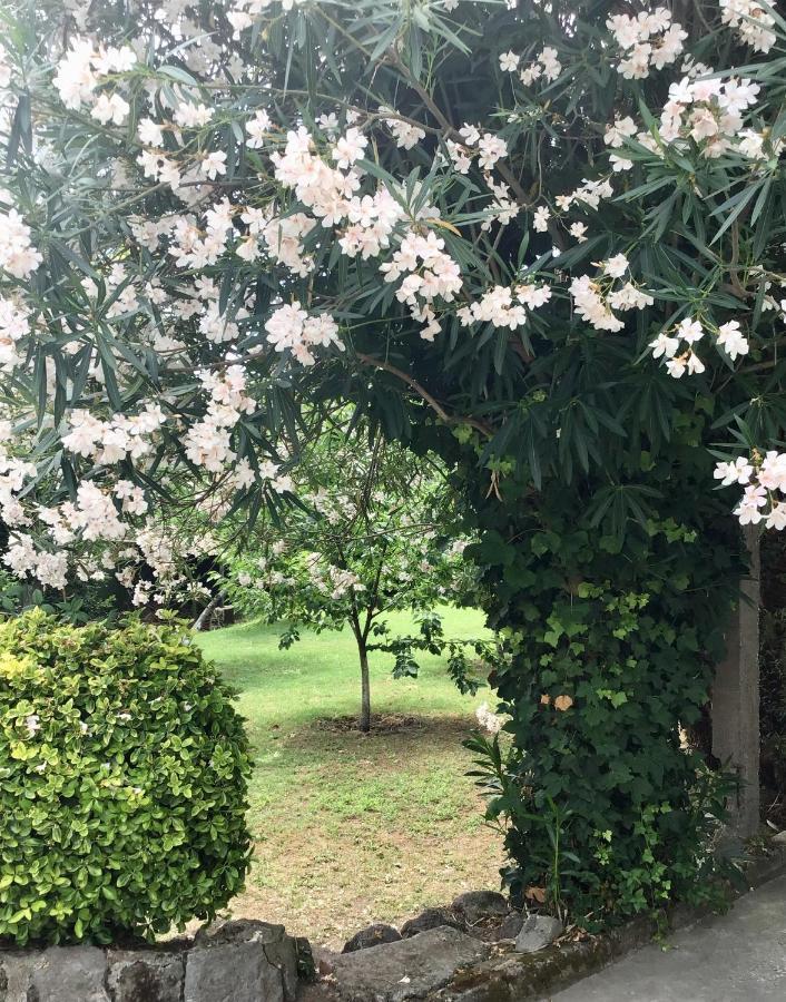 Villa Vincenzo Di Meglio バラーノ・ディスキア エクステリア 写真