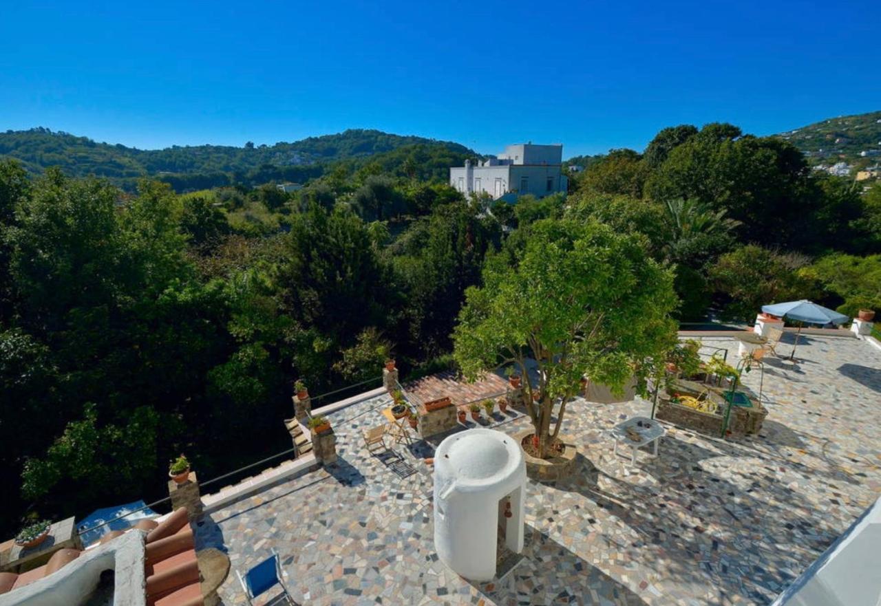 Villa Vincenzo Di Meglio バラーノ・ディスキア エクステリア 写真