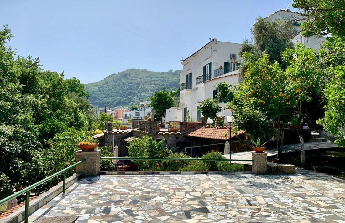 Villa Vincenzo Di Meglio バラーノ・ディスキア エクステリア 写真