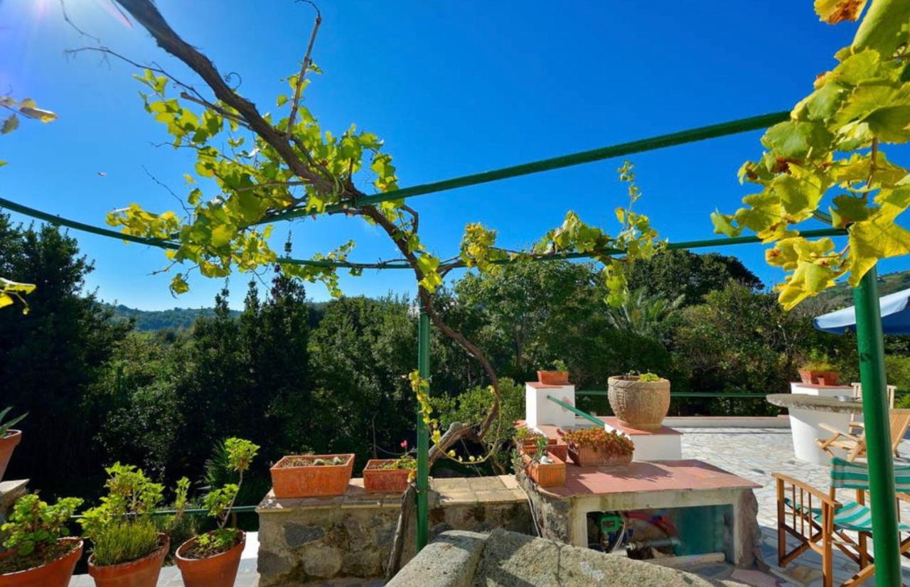 Villa Vincenzo Di Meglio バラーノ・ディスキア エクステリア 写真