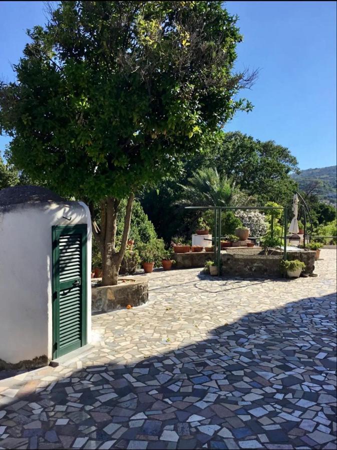 Villa Vincenzo Di Meglio バラーノ・ディスキア エクステリア 写真
