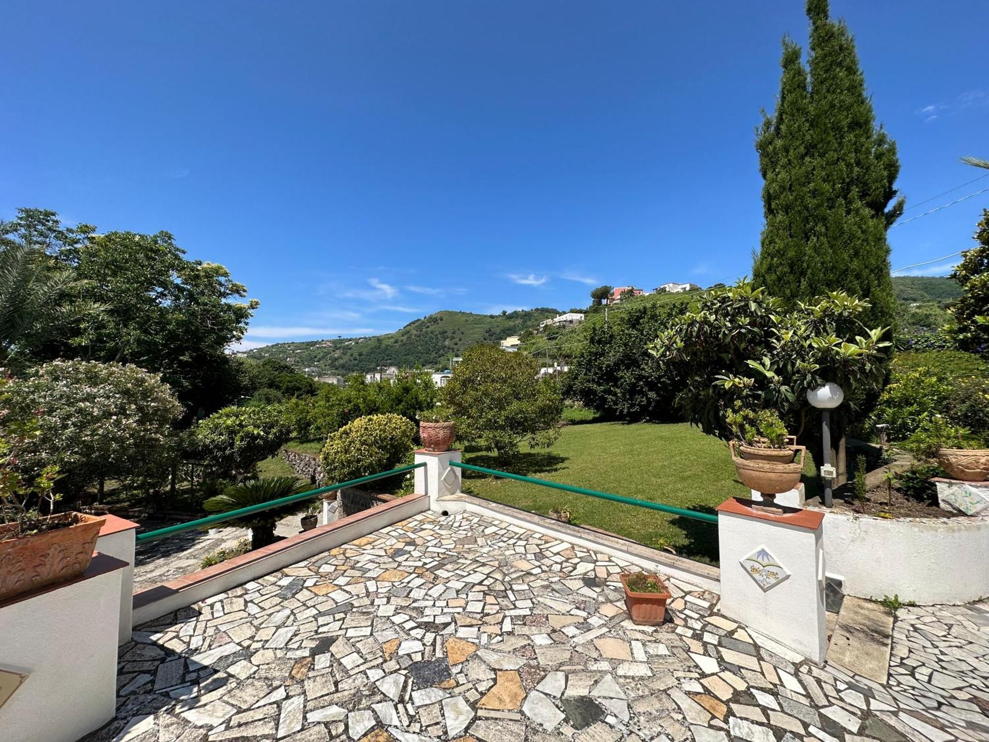Villa Vincenzo Di Meglio バラーノ・ディスキア エクステリア 写真