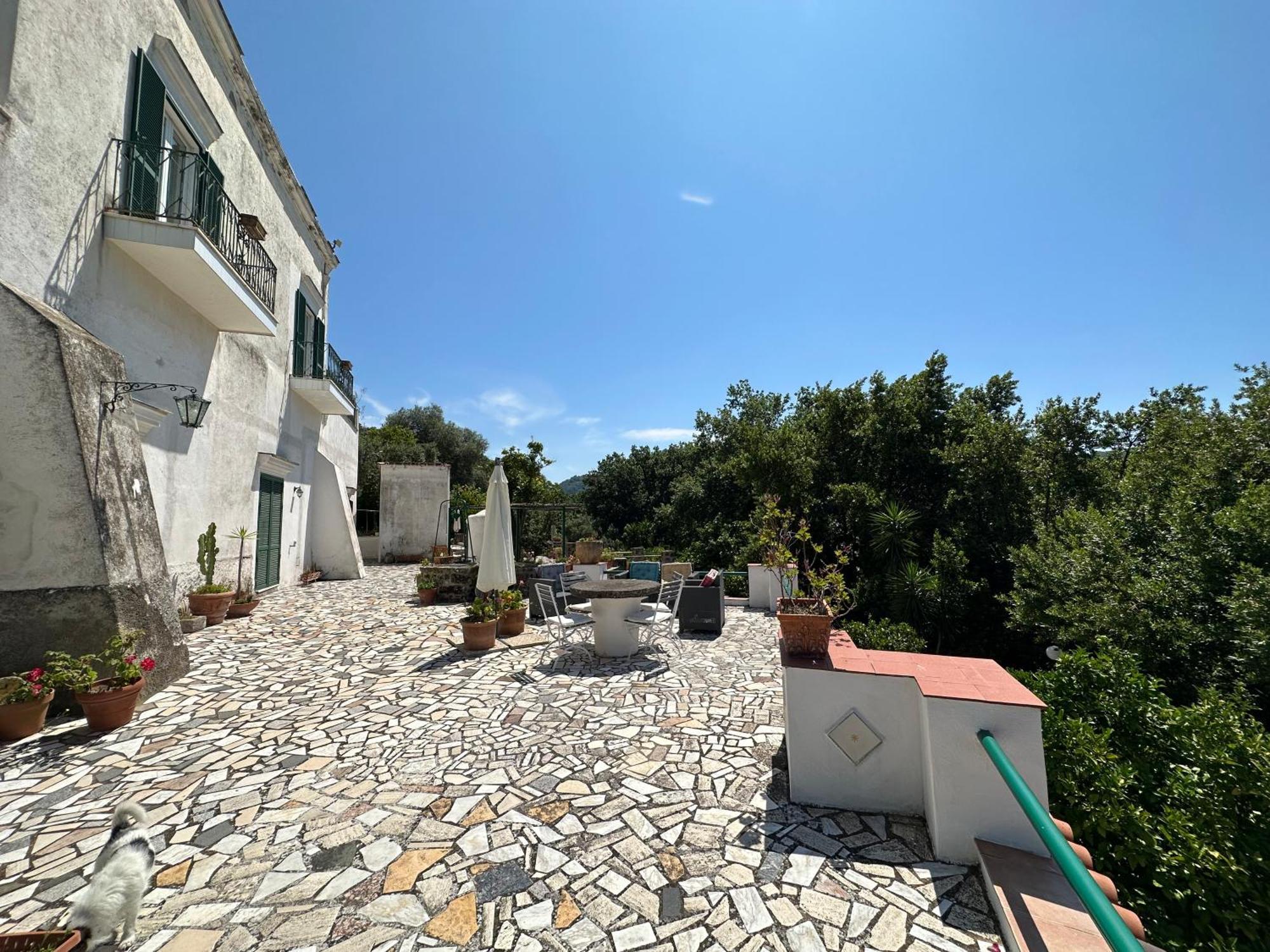 Villa Vincenzo Di Meglio バラーノ・ディスキア エクステリア 写真