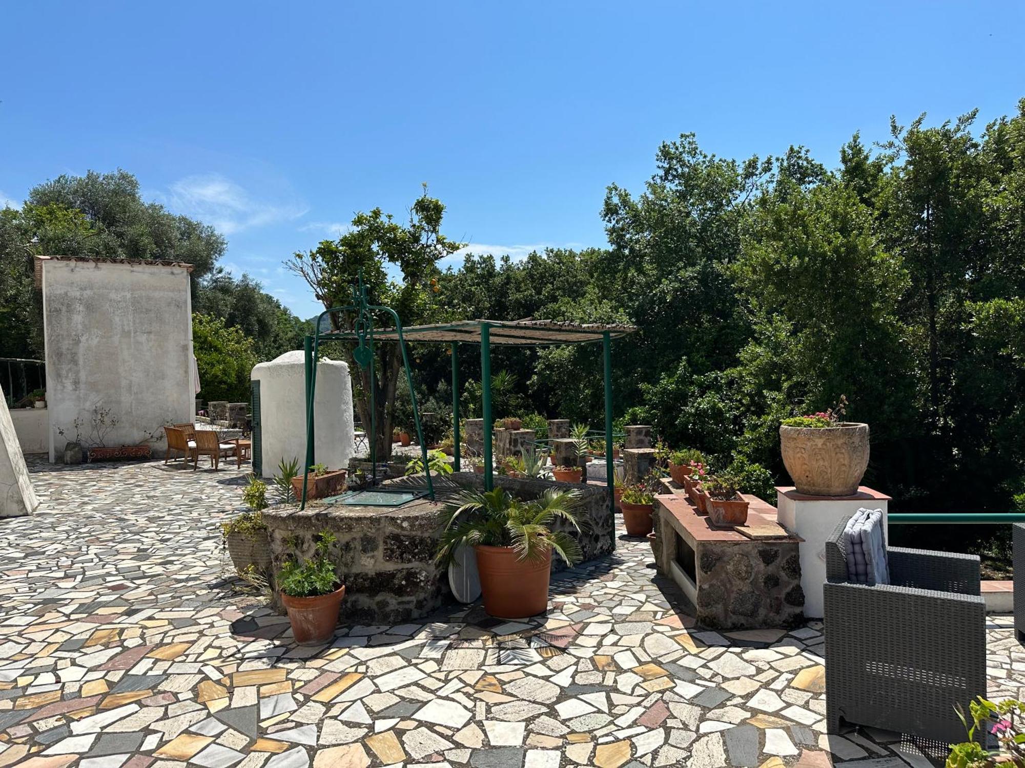 Villa Vincenzo Di Meglio バラーノ・ディスキア エクステリア 写真