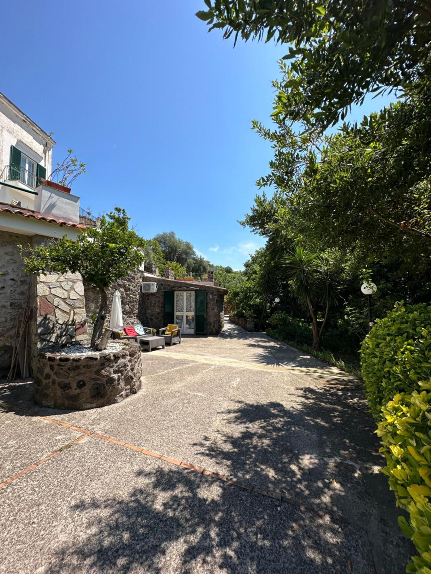 Villa Vincenzo Di Meglio バラーノ・ディスキア エクステリア 写真