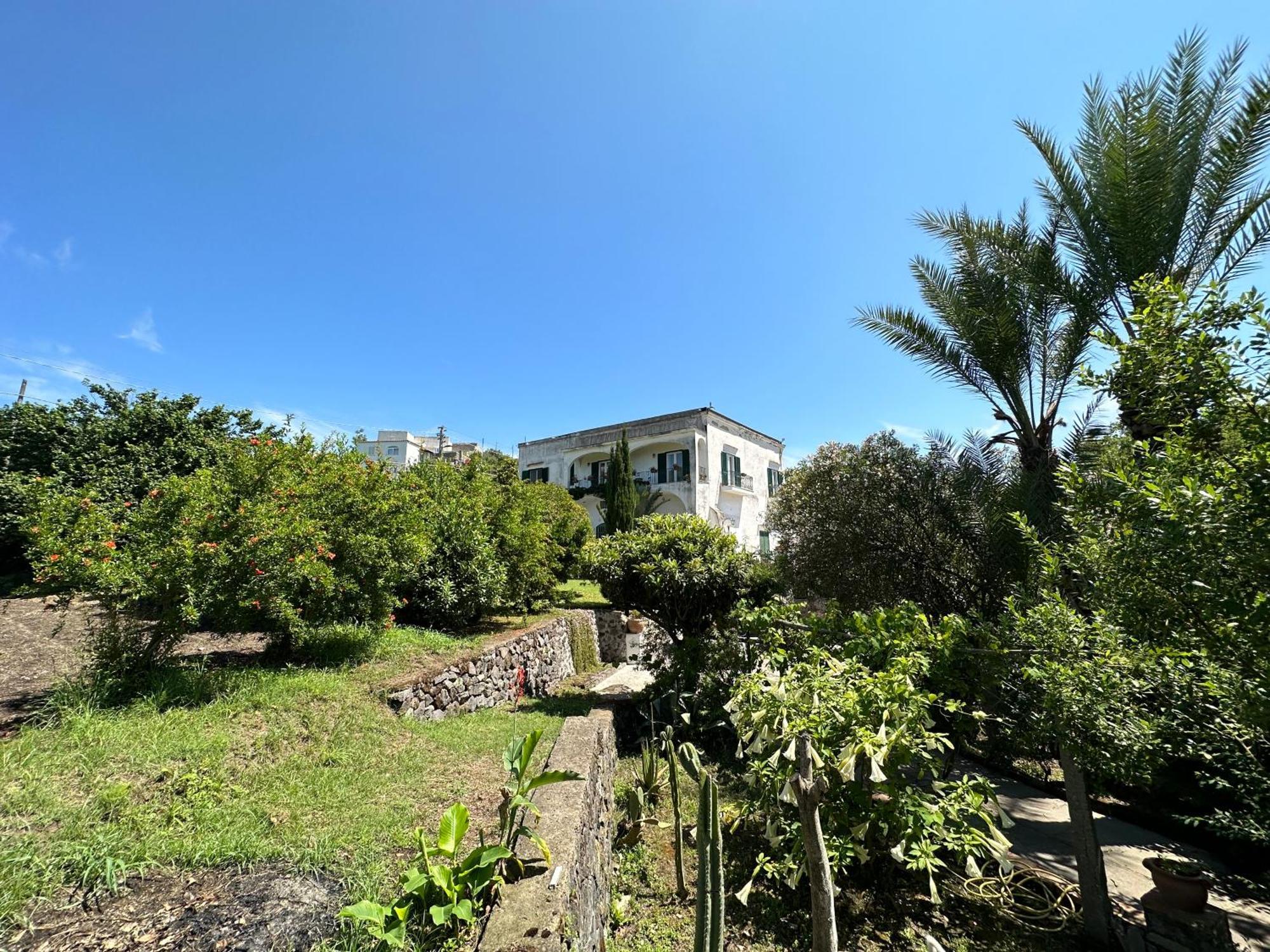 Villa Vincenzo Di Meglio バラーノ・ディスキア エクステリア 写真