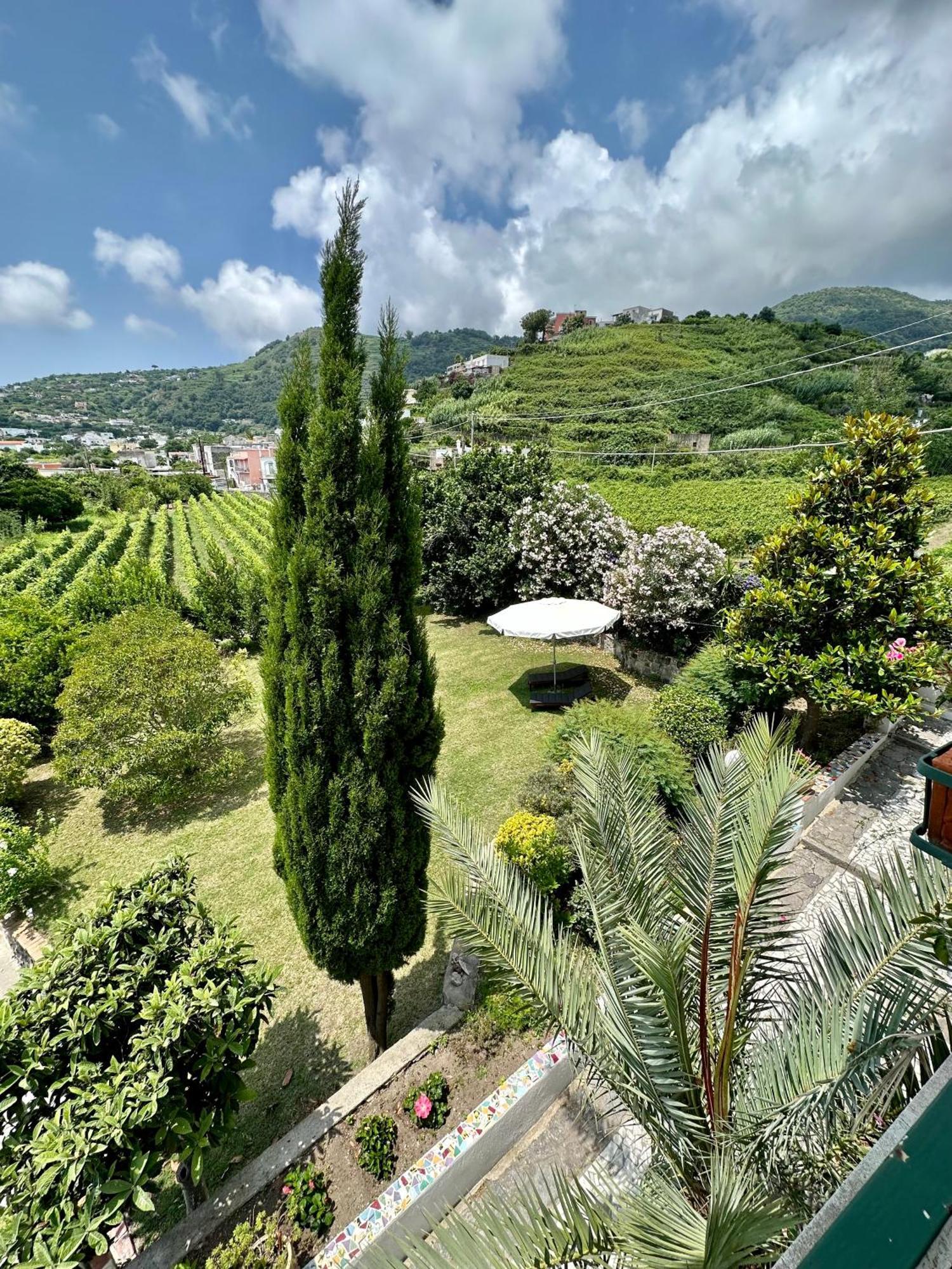 Villa Vincenzo Di Meglio バラーノ・ディスキア エクステリア 写真