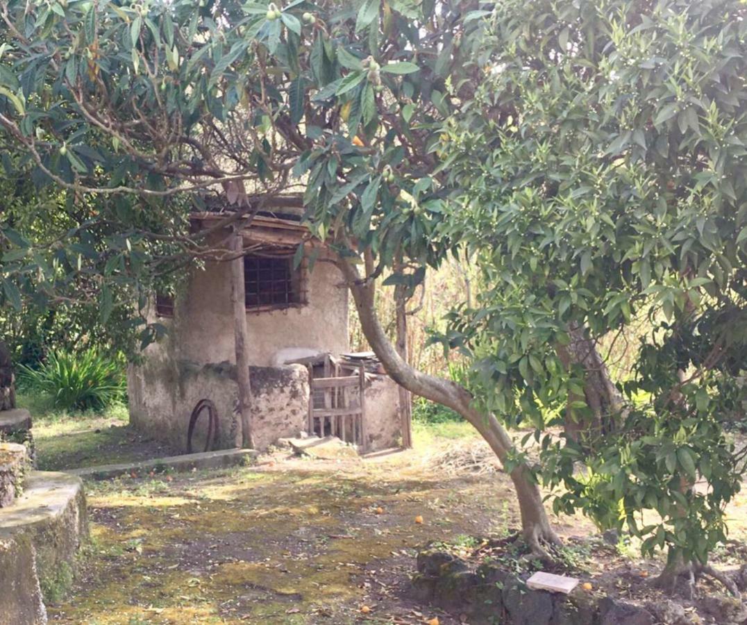 Villa Vincenzo Di Meglio バラーノ・ディスキア エクステリア 写真