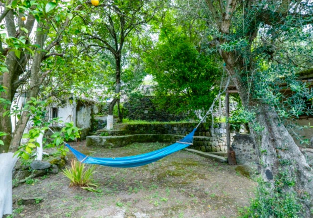 Villa Vincenzo Di Meglio バラーノ・ディスキア エクステリア 写真
