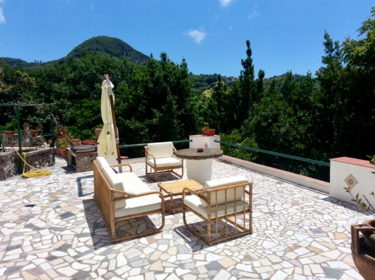 Villa Vincenzo Di Meglio バラーノ・ディスキア エクステリア 写真