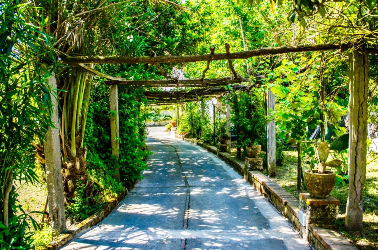 Villa Vincenzo Di Meglio バラーノ・ディスキア エクステリア 写真
