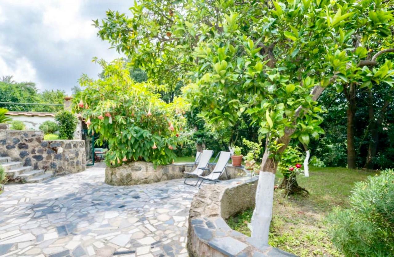 Villa Vincenzo Di Meglio バラーノ・ディスキア エクステリア 写真