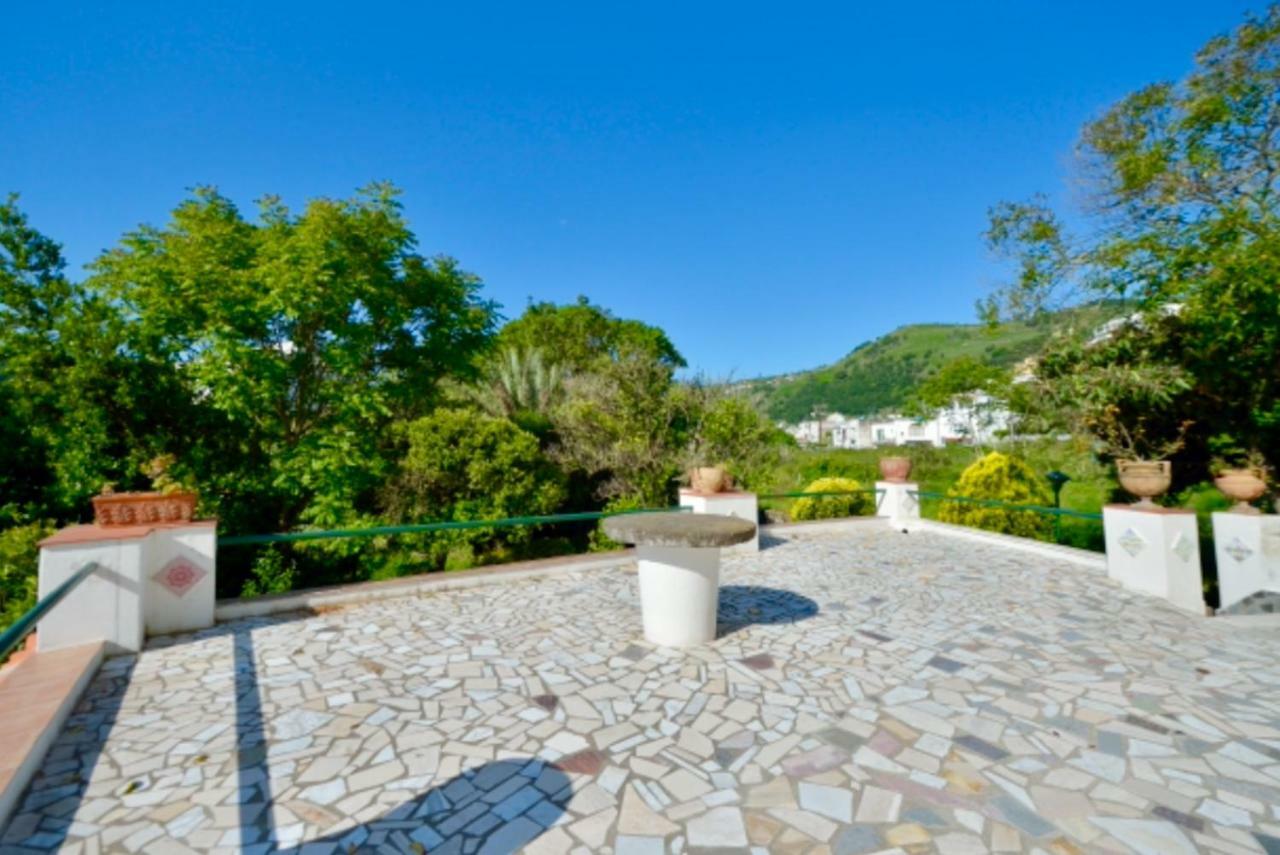 Villa Vincenzo Di Meglio バラーノ・ディスキア エクステリア 写真